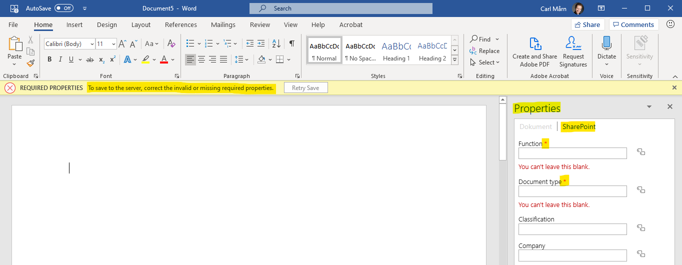 Word displays the document's SharePoint properties